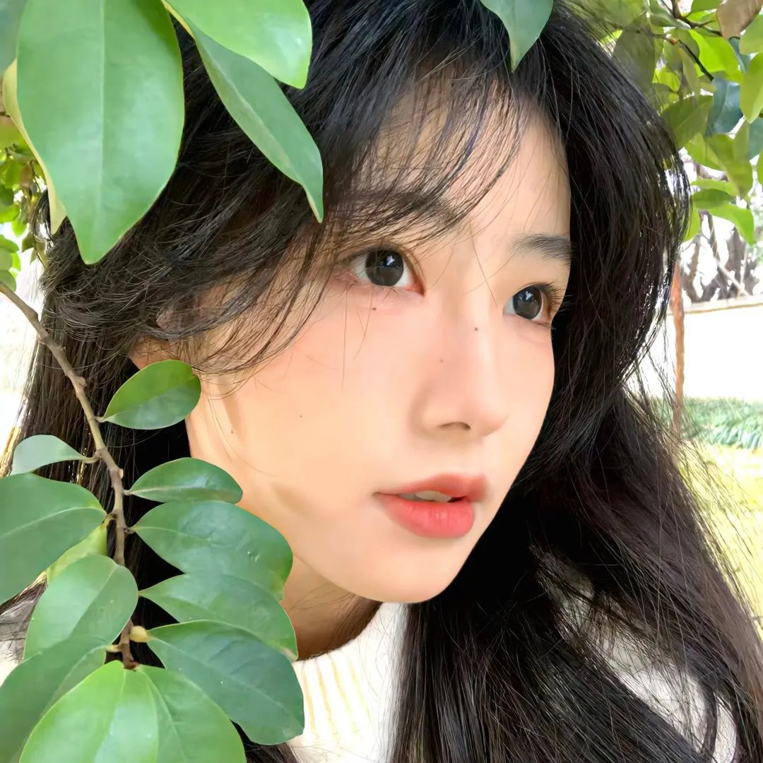 白暮的编年史